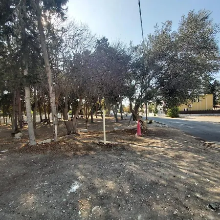 Anthea Court פאפוס